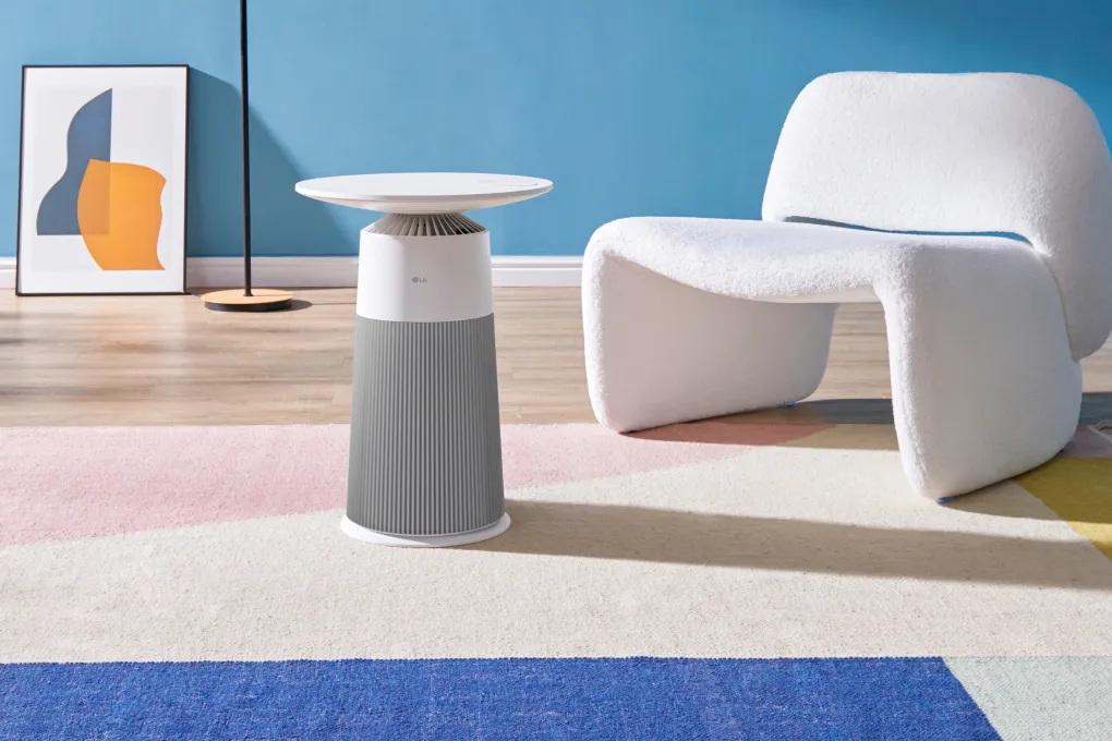 Máy lọc không khí LG AS20GPWU0 