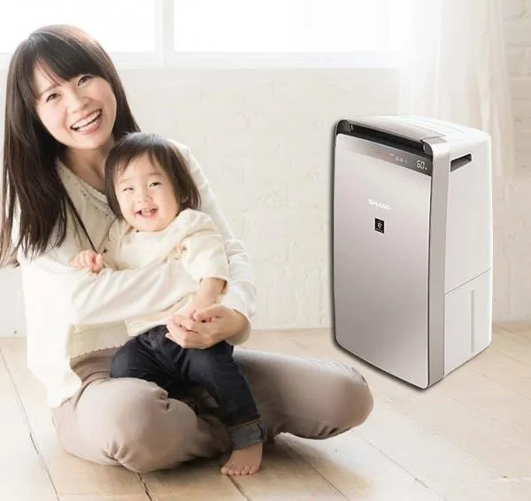 Máy lọc không khí Sharp DW-J27FV-S