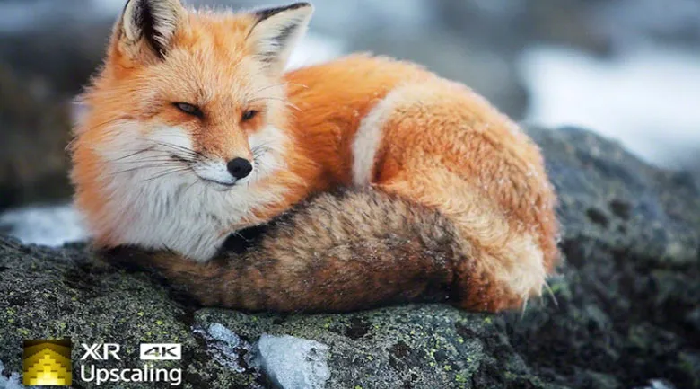 Smart Tivi 4K Sony XR-75X90J 75 inch – 2021