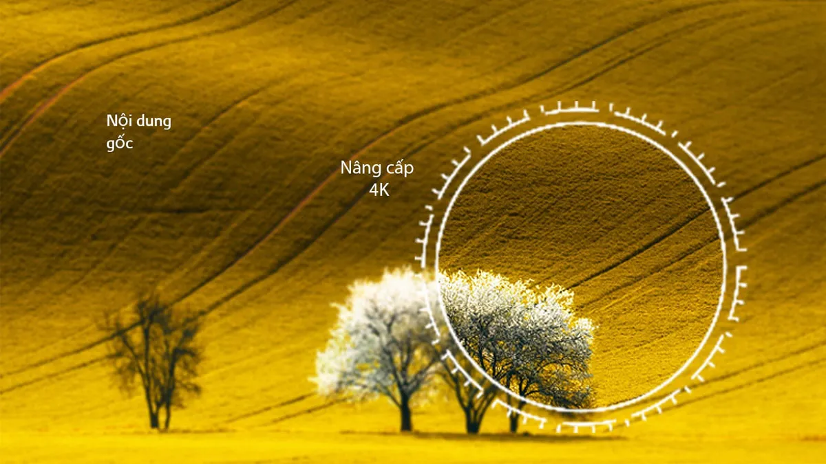 Tivi LG 55 inch 55UR9050PSK