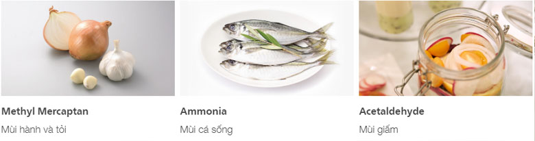 Tổng kho điều hòa, điện máy miền Bắc tại Hà Nội tu-lanh-hitachi-inverter-366-lit-fvx480pgv9-mir