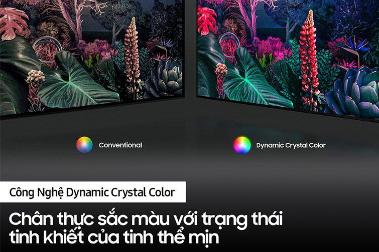 Công nghệ Dynamic Crystal Color trên tivi samsung