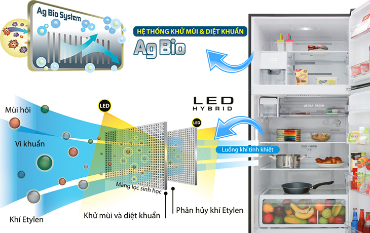 Hệ thống khử mùi & diệt khuẩn Ag Bio System, GR-AG39VUBZ XK 