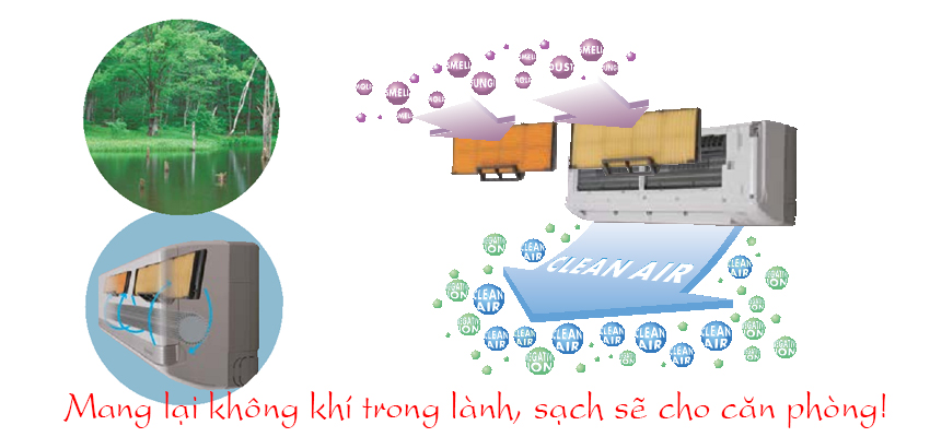 Diệt khuẩn khử khuẩn