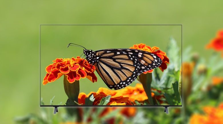 Smart Tivi LG 4K 50 Inch 50NANO77TPA NanoCell (2021), công nghệ HDR 10