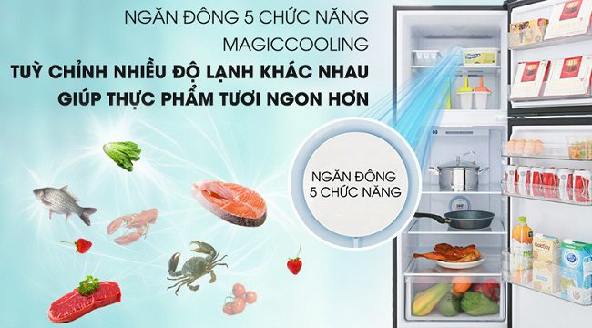 Tủ lạnh Inverter AQUA 235 lít AQR-T249MA(PB), ngăn đông 5 chức năng