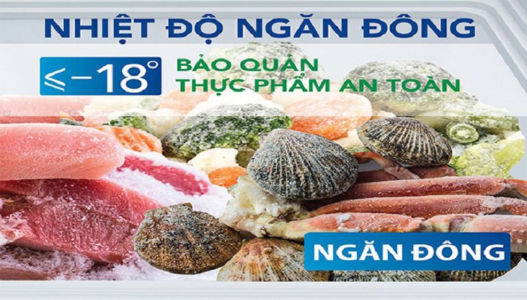 thinh-phat-Funiki HCFI 656S2Đ2 cấp đông nhanh chóng