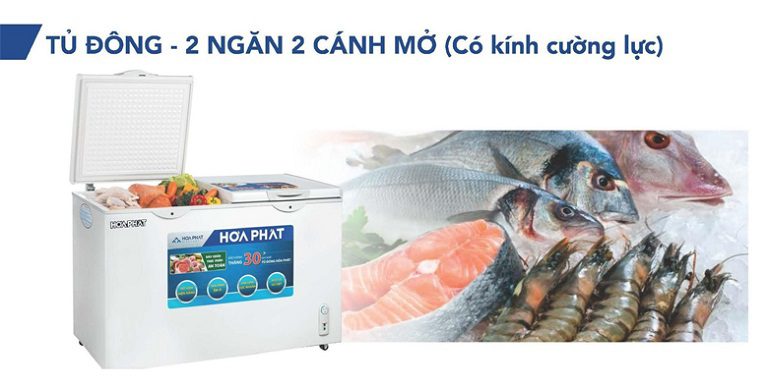 Hòa Phát HCF-506S2N2 2 ngăn 2 cánh