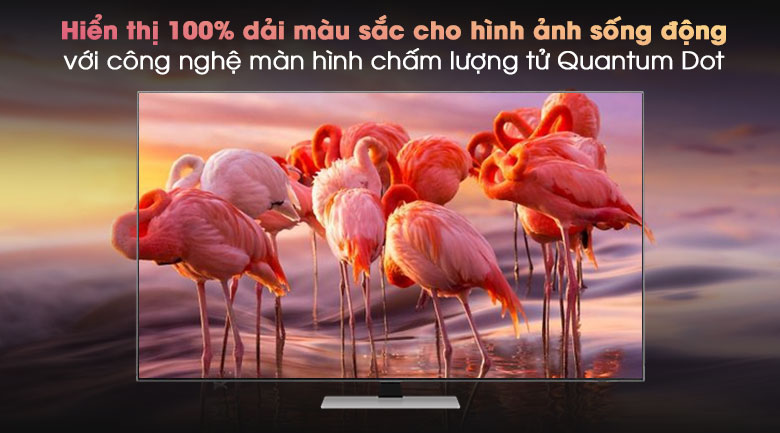 thinh-phat-neo-qled-4k-samsung-qa85qn85a-Quantum Dot (QLED)