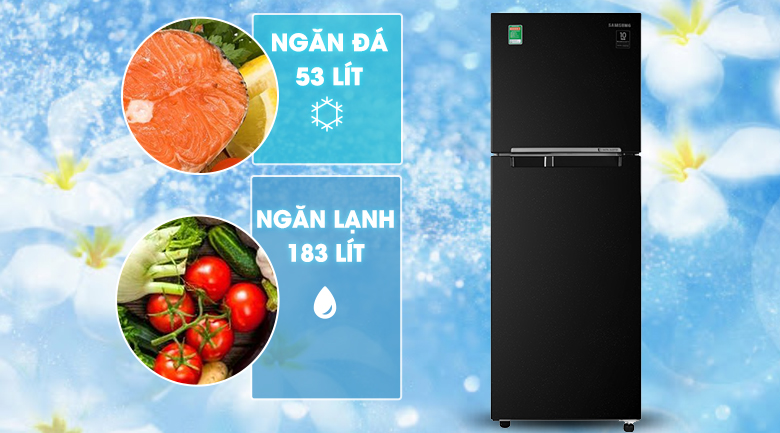 Tủ lạnh Samsung 236 lít 2 cửa Inverter RT22M4032BU/SV