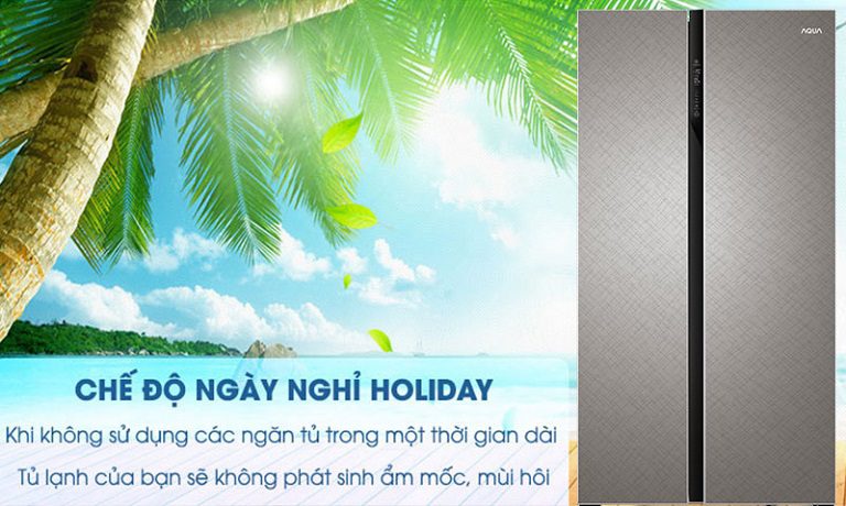 ngày nghỉ holiday ngăn ngừa nấm mốc AQR-IG696FS.GP