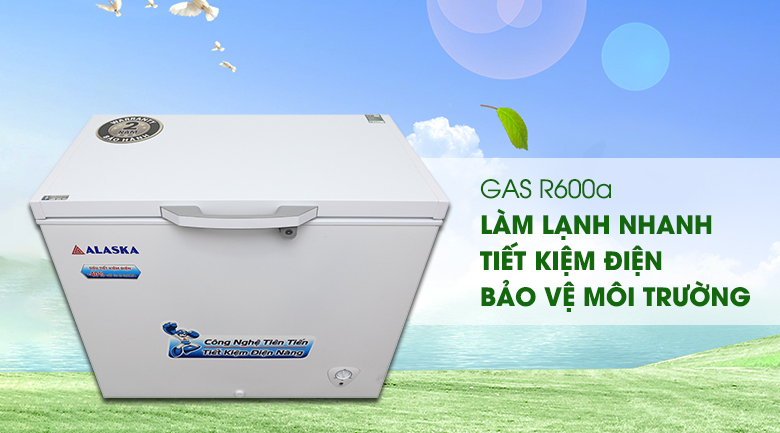 Sử dụng gas R600a - làm lạnh nhanh, tiết kiệm điện BD-300