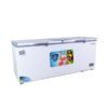 Tủ Đông 1 ngăn Inverter Sumikura 750 lít SKF-750SI (JS)