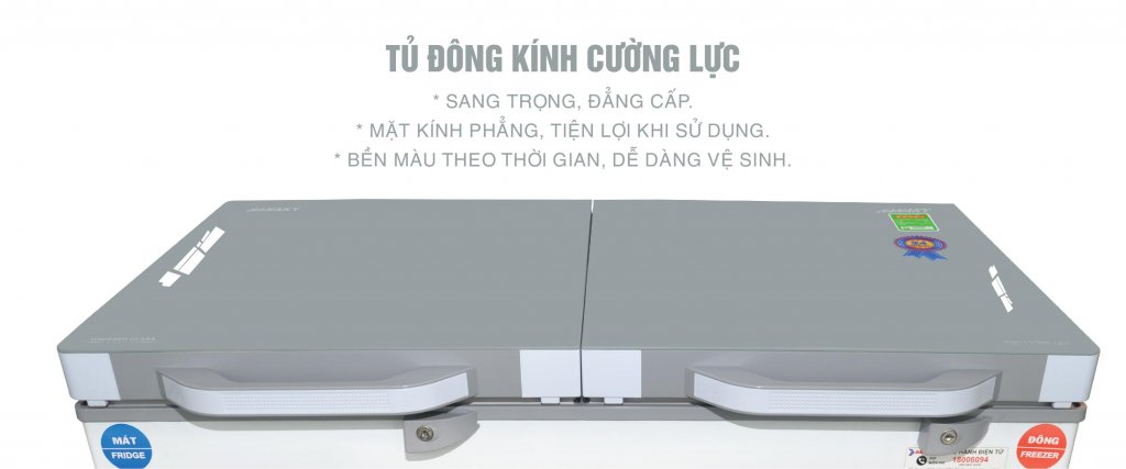 tủ đông mặt kính cường lực VH-4099A2KD