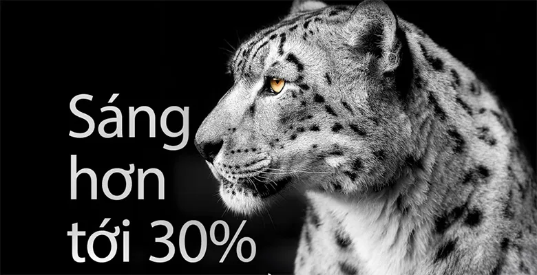 Tivi LG 65 inch 65C4PSA