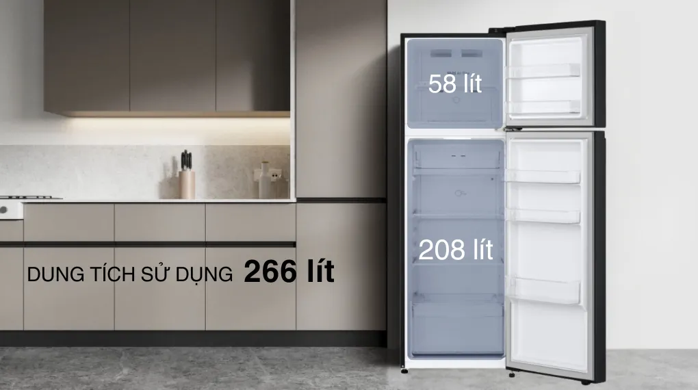 Tủ lạnh LG LTB26BLM 260 lít Inverter