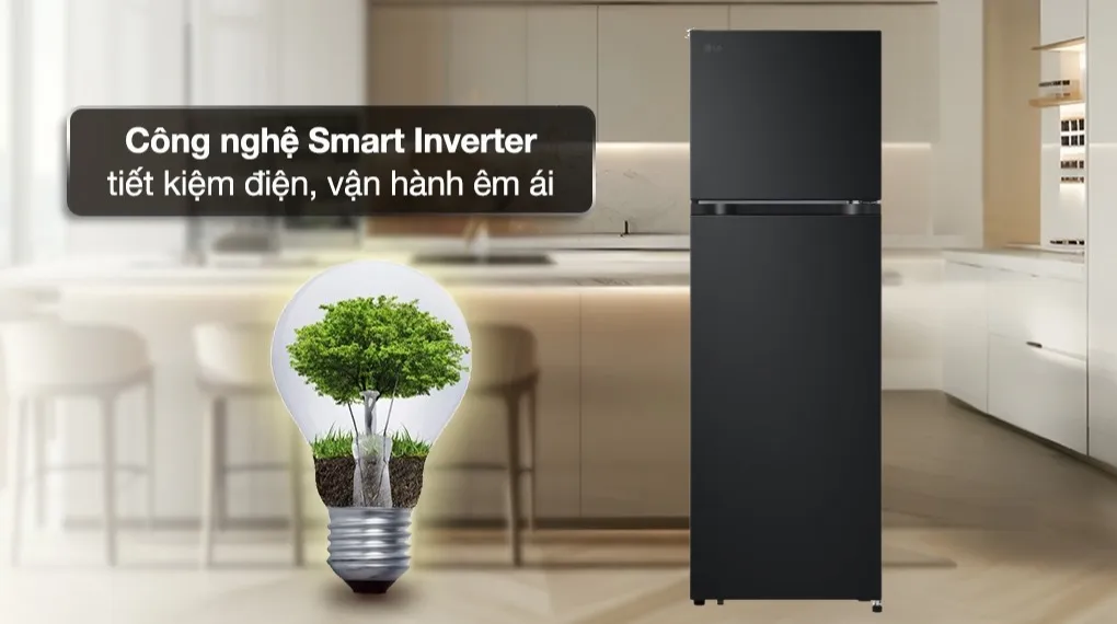 Tủ lạnh LG LTB26BLM 260 lít Inverter