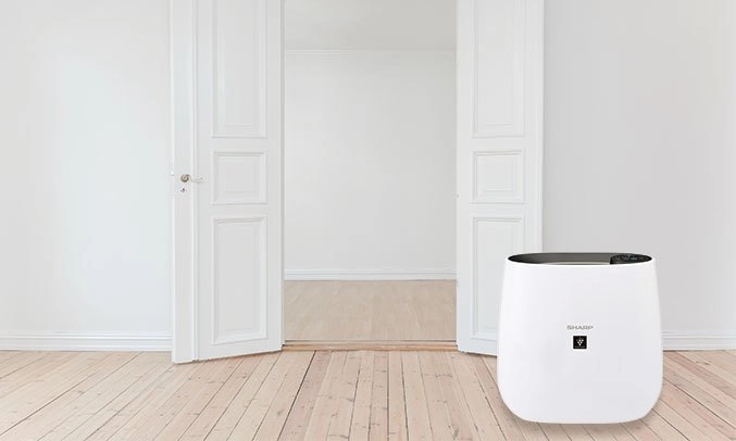 Máy lọc không khí Sharp FP J30E B