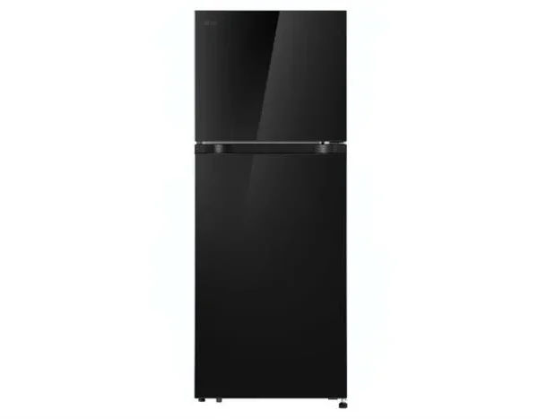 Tủ lạnh LG Inverter 217 lít T21BG