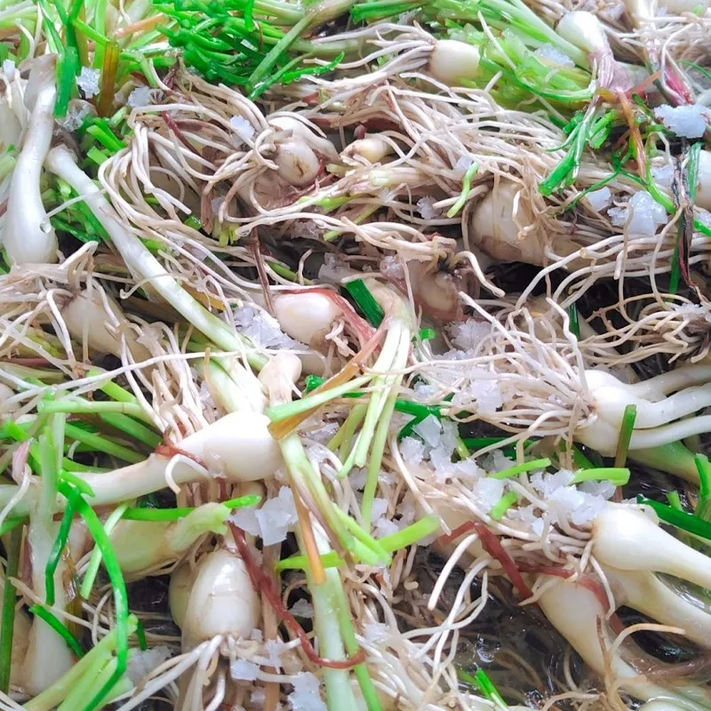 cách làm kiệu chua ngọt