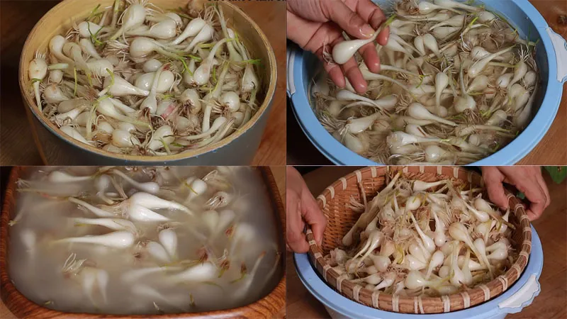 cách làm kiệu chua ngọt