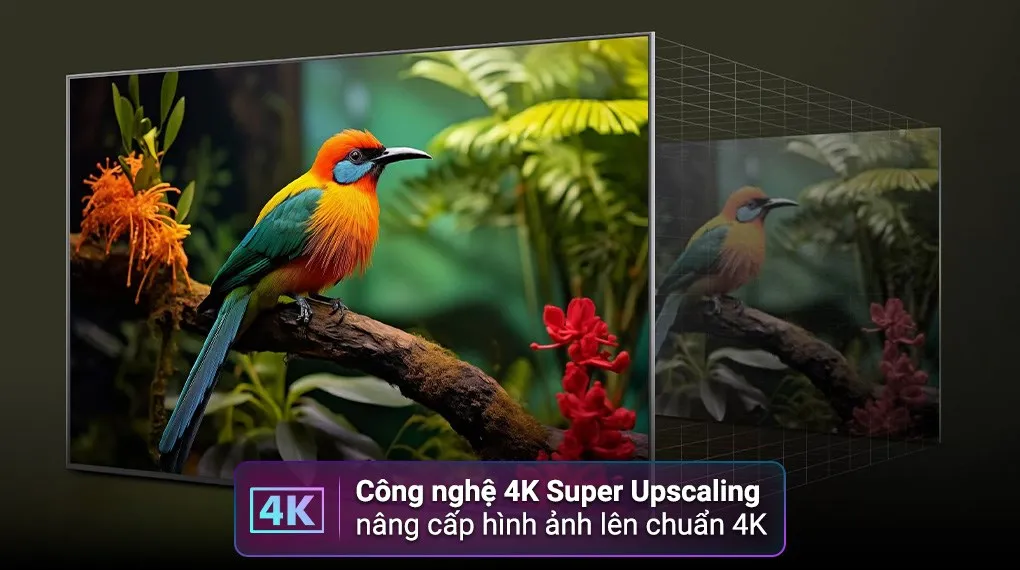 TV chuyên dụng LG UHD AI 4K 55 inch 55UA841CPSA