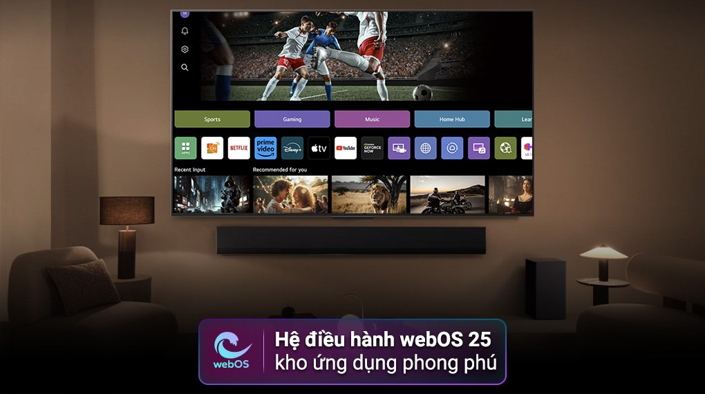 TV chuyên dụng LG UHD AI 4K 55 inch 55UA841CPSA