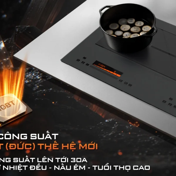 Bếp từ đôi Junger