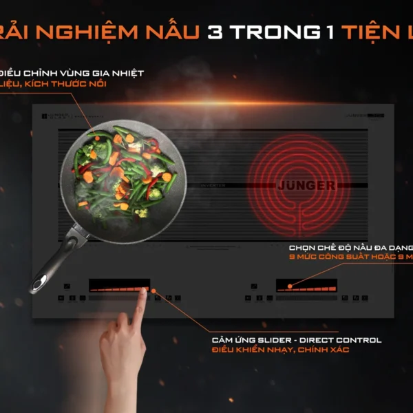 Bếp từ đôi Junger
